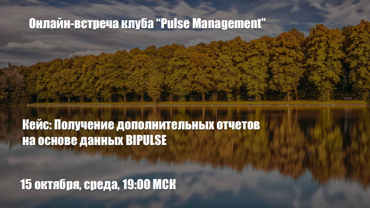 Кейс: Получение дополнительных отчетов на основе данных BIPULSE