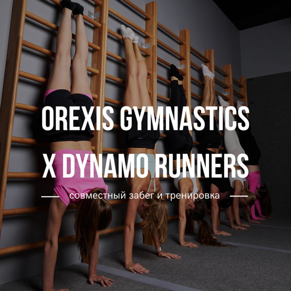 Совместный забег и тренировка от OREXIS x DYNAMO RUNNERS