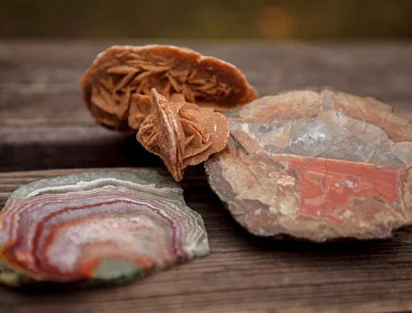 в 11:00 "Трогательная" лекция "Минералогия" с географом Юлией Поповой в Ботаническом саду МГУ. 7+