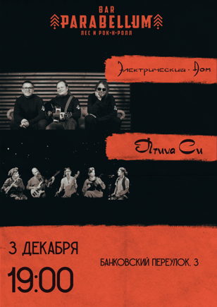 Электрический Дом|Птица Си