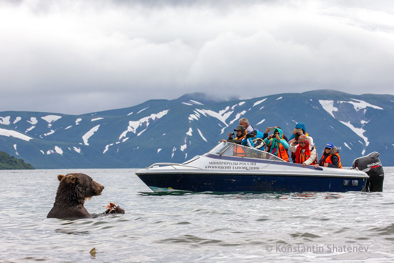 Дни природной фотографии в Штаб-квартире РГО в Санкт-Петербурге: День медведя