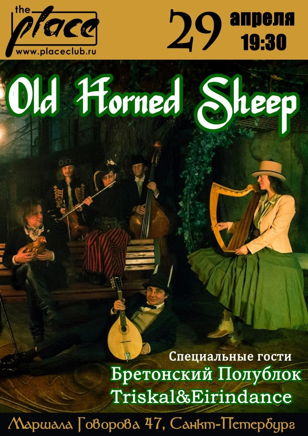 Old Horned Sheep