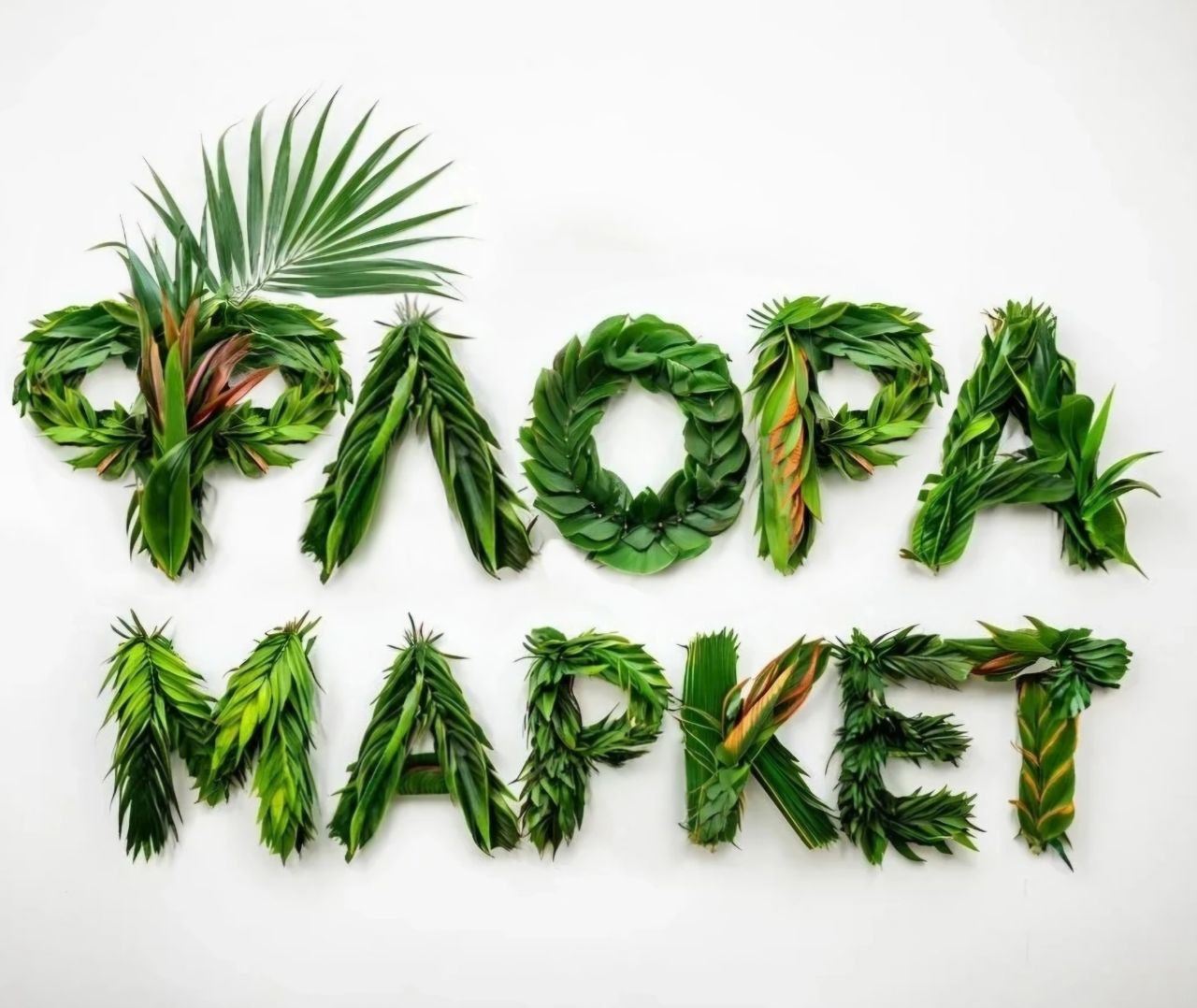 Фестиваль комнатных растений ФЛОРА МАРКЕТ 2