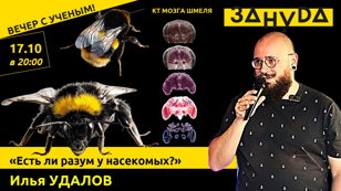 Илья Удалов с лекцией «Есть ли разум у насекомых?»   