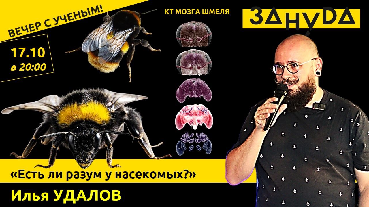 Илья Удалов с лекцией «Есть ли разум у насекомых?»