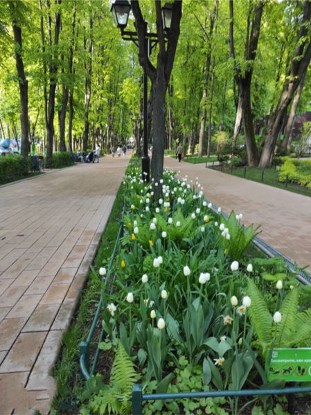 Пленэр 1 мая в парках Москвы