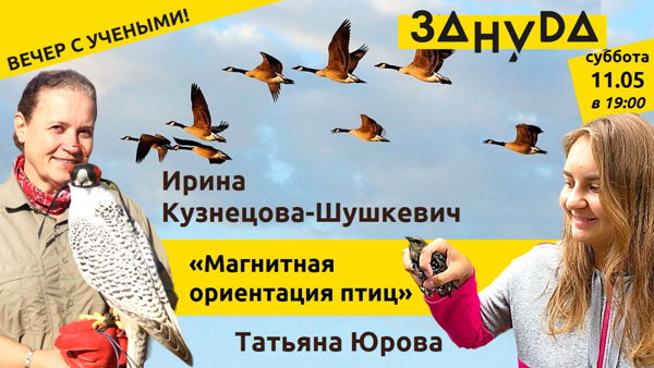 Ирина Кузнецова-Шушкевич и Татьяна Юрова с лекцией: "Магнитная ориентация птиц"