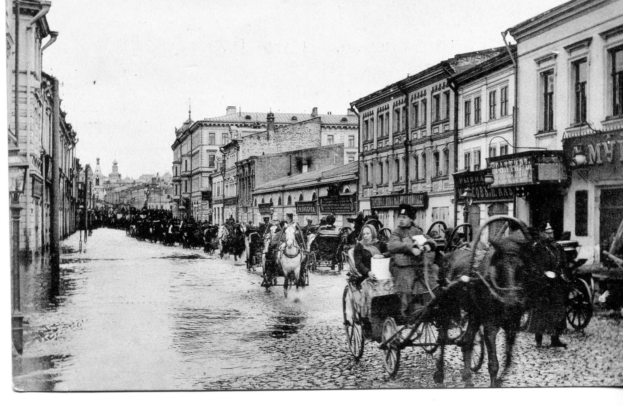 Садовнический остров