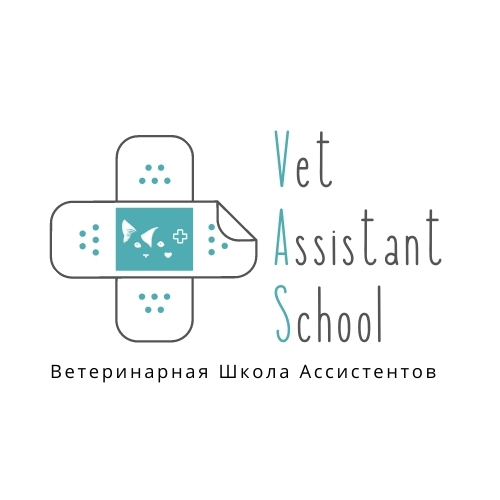 Vet Assistant School