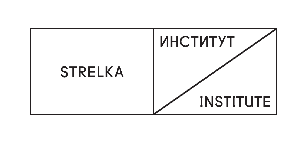 Институт «Стрелка»