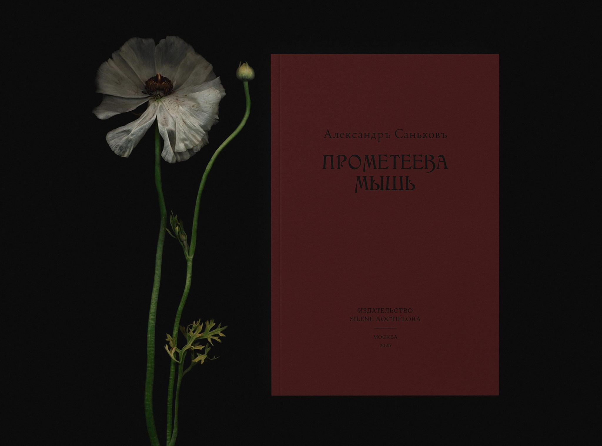 Александр Саньков. «Прометеева мышь». Презентация поэтического сборника