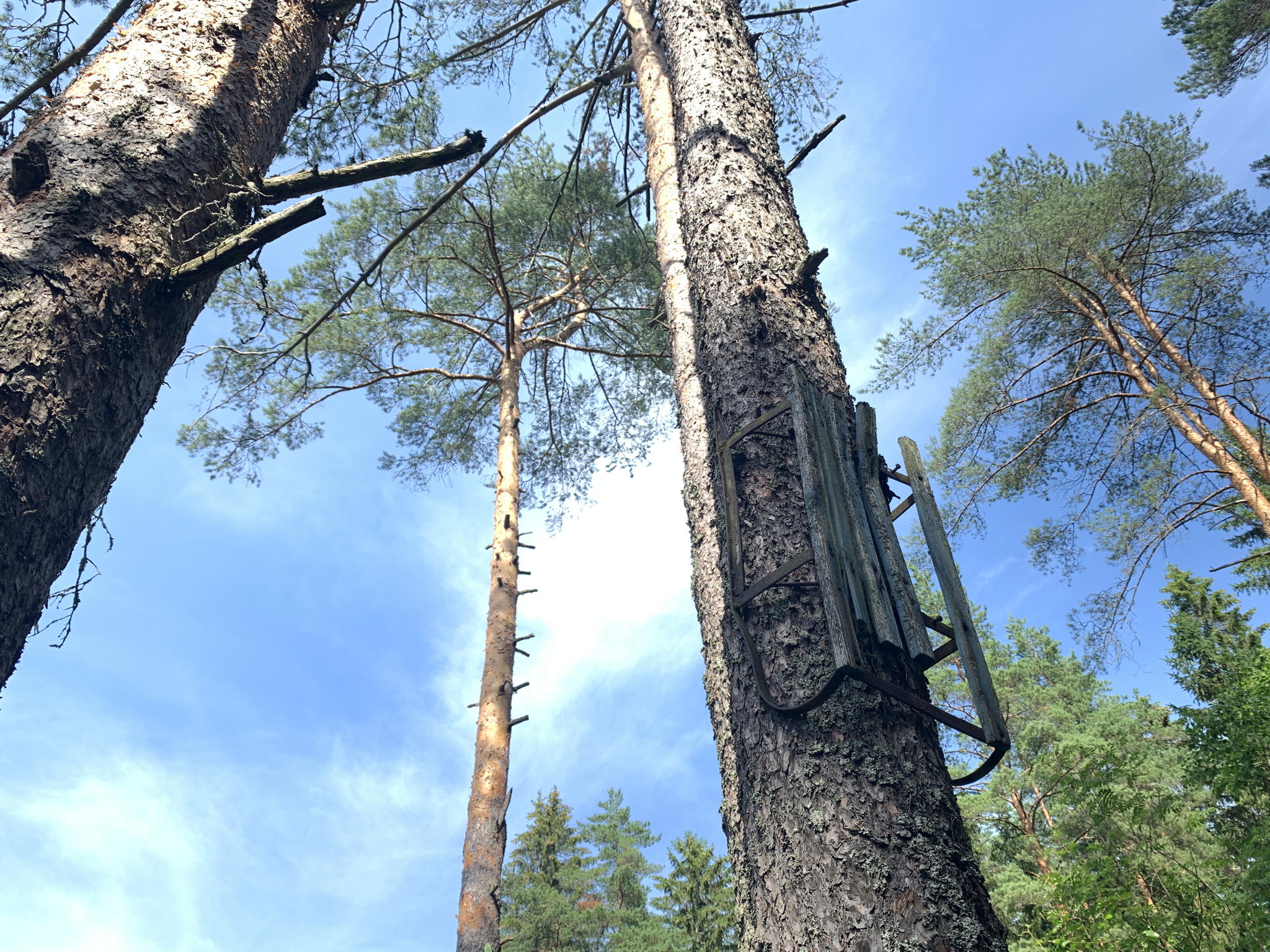 История сторителлинга – век живи, век учись