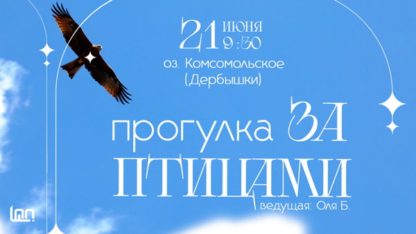Прогулка За Птицами. 26г