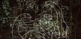 Show Me A Dinosaur • SOMN — 03.09 Петербург