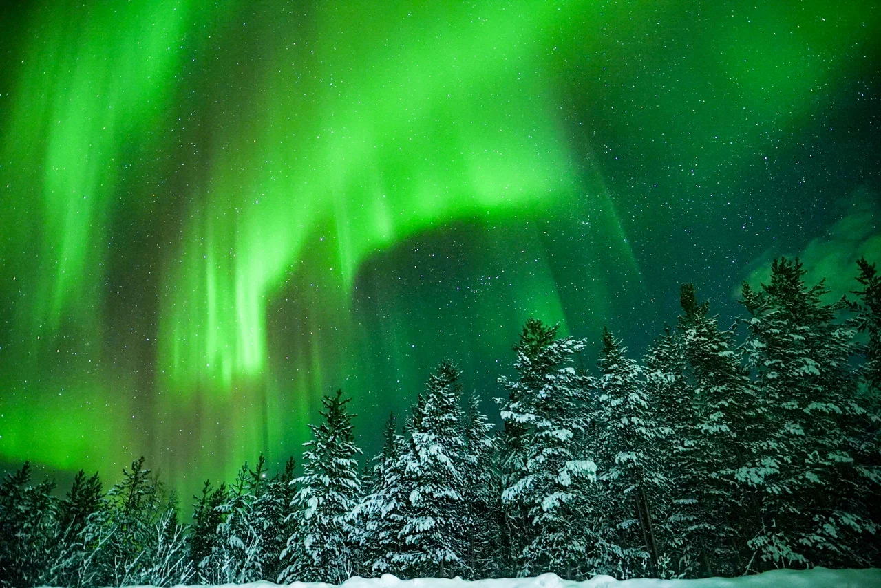 Новогодний Кольский с экскурсией Териберка пешая прогулка