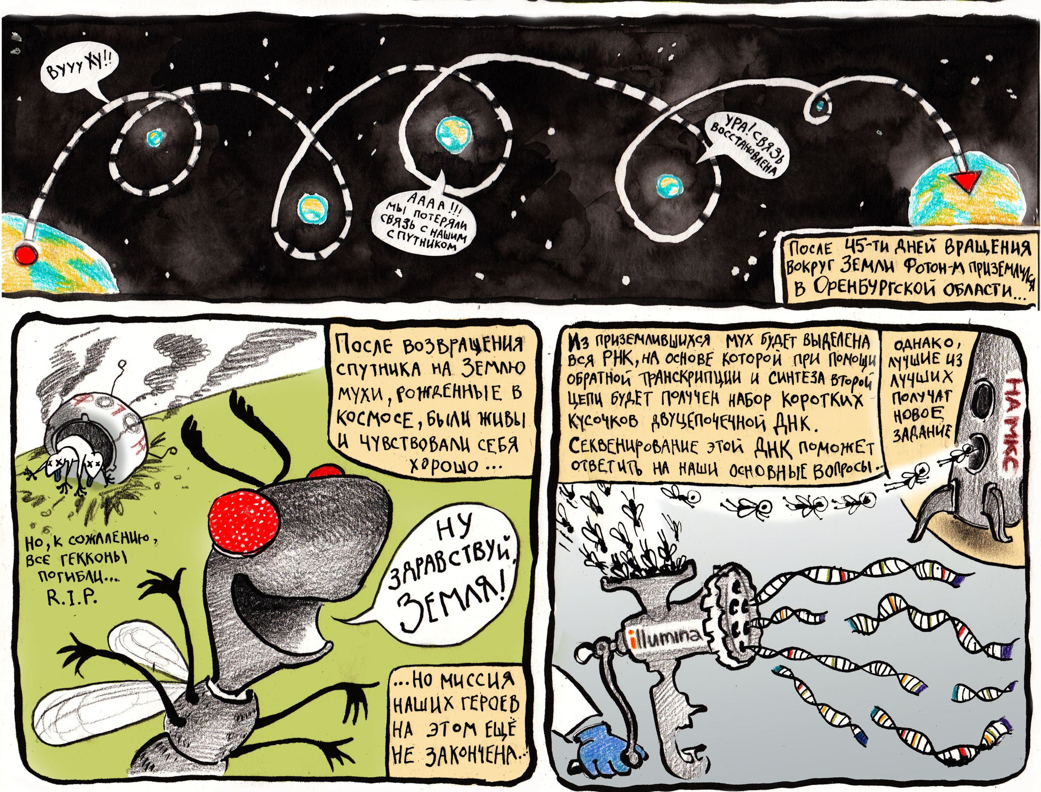 Творческое занятие «Научные истории в картинках» (6+)