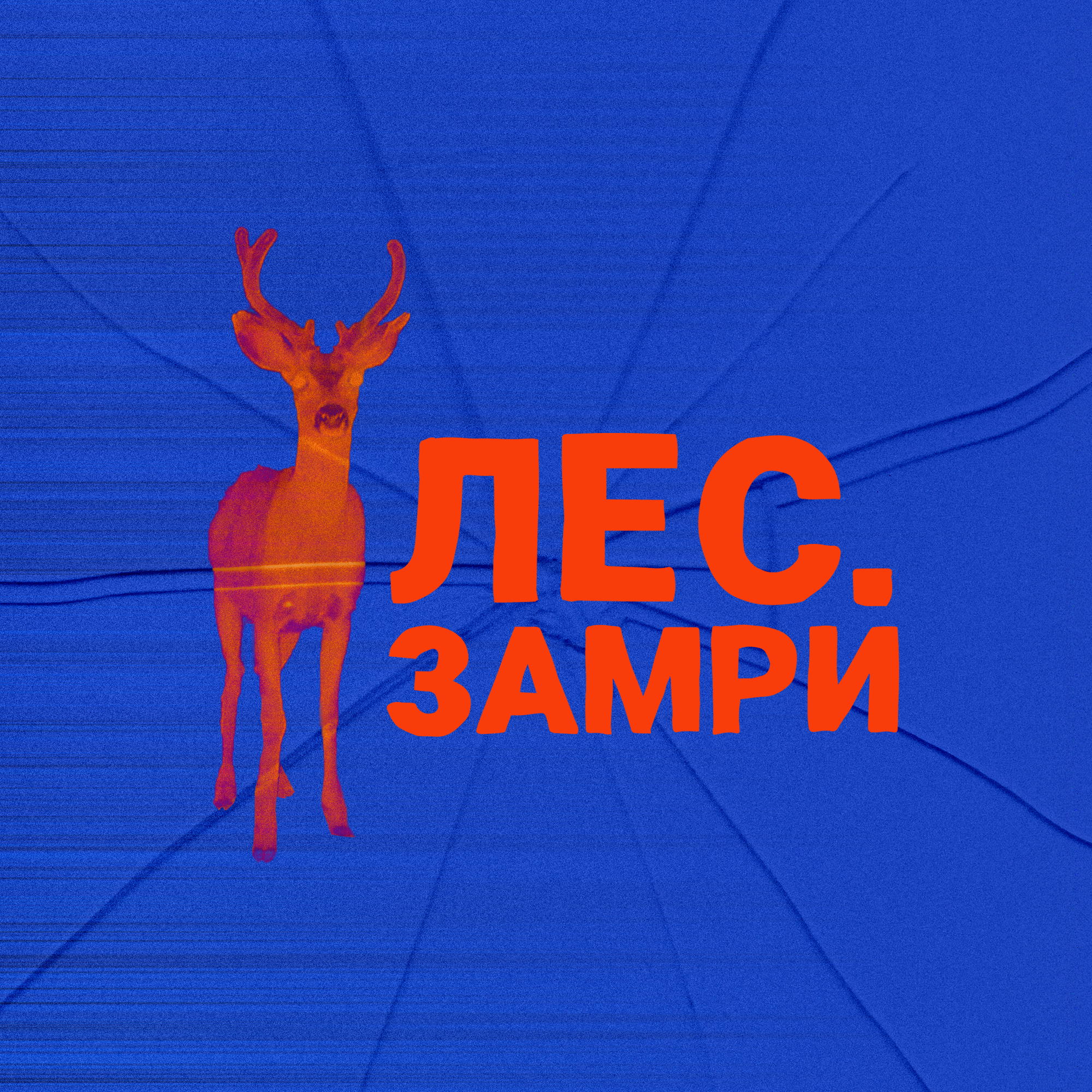 Спектакль "Лес. Замри" ( 2025)