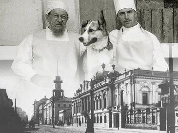 Пречистенка. Тени лиц и событий. Прогулка с Михаилом Шапошниковым