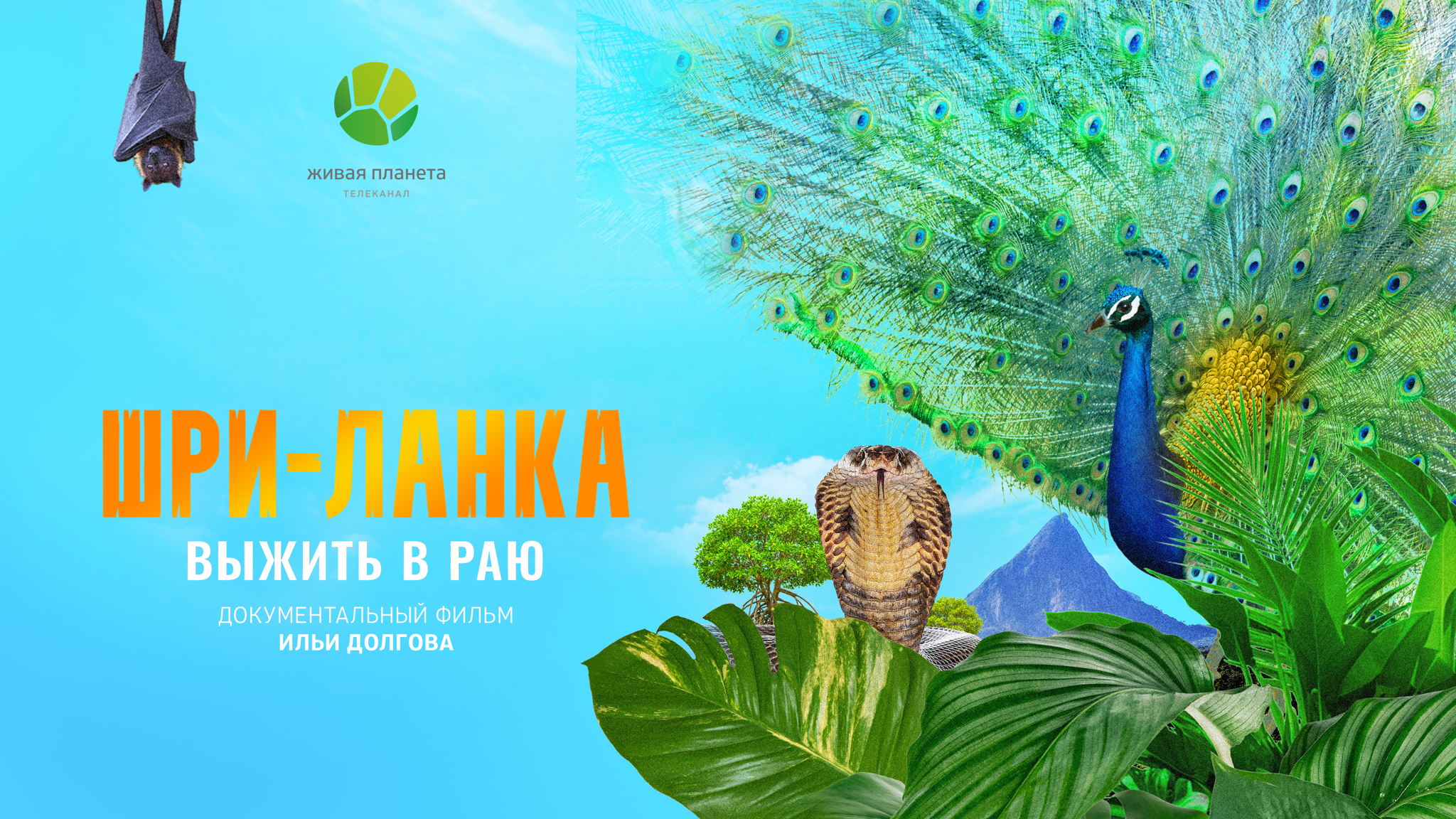 Премьерный показ и встреча с авторами документального фильма «Шри-Ланка: выжить в раю»