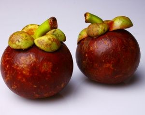 Компания Tropical 