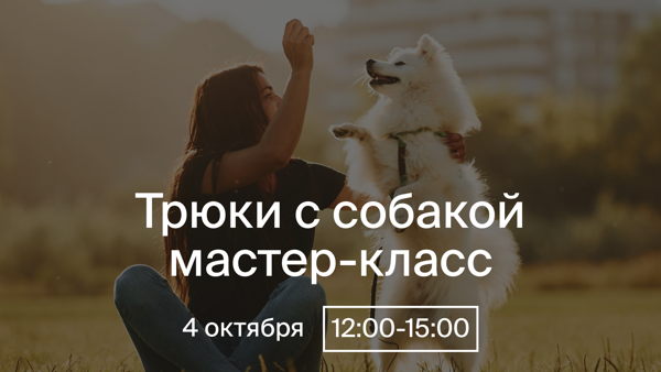 Трюки с собакой: практический мастер-класс