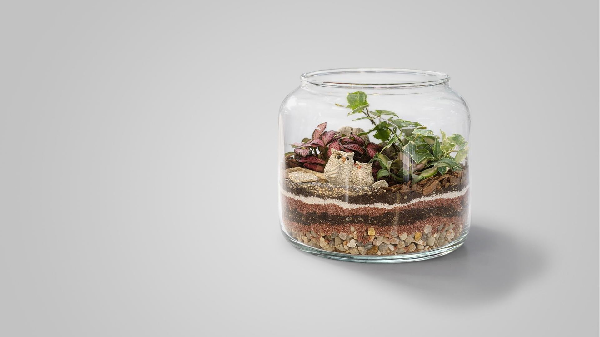 ОТКРЫТА ЗАПИСЬ НА АГРОНОМИЧЕСКИЙ МАСТЕР-КЛАСС ПО СОЗДАНИЮ ФЛОРАРИУМА "СОВУШКИ"