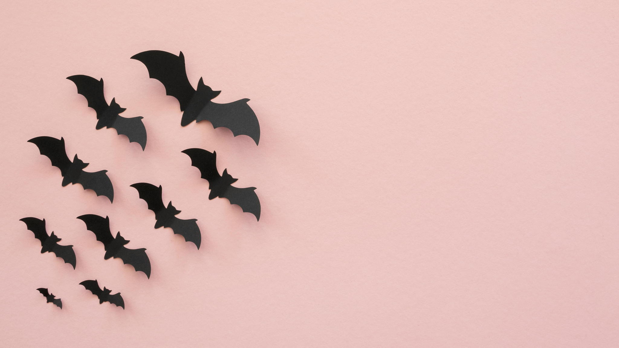 Мастер-класс от Изоклуба «Акварелька» «Хироптерология»