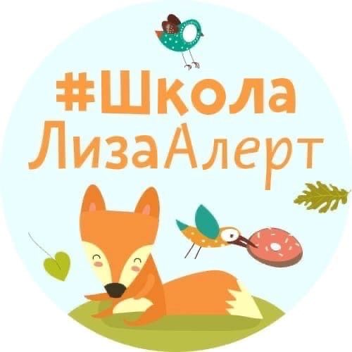 ЗАНЯТИЕ по детской безопасности для детей 1-4 классов от Школы ЛизаАлерт (Сурдоперевод)