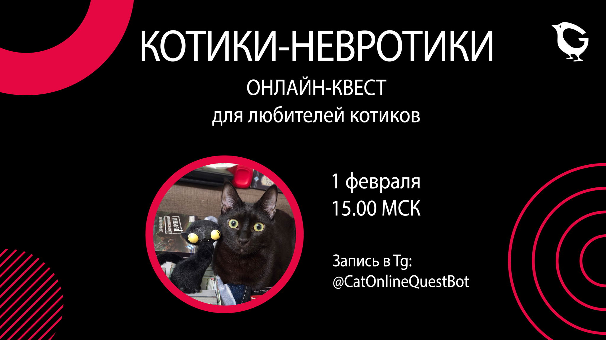 Онлайн-Квест "КОТИКИ-НЕВРОТИКИ"