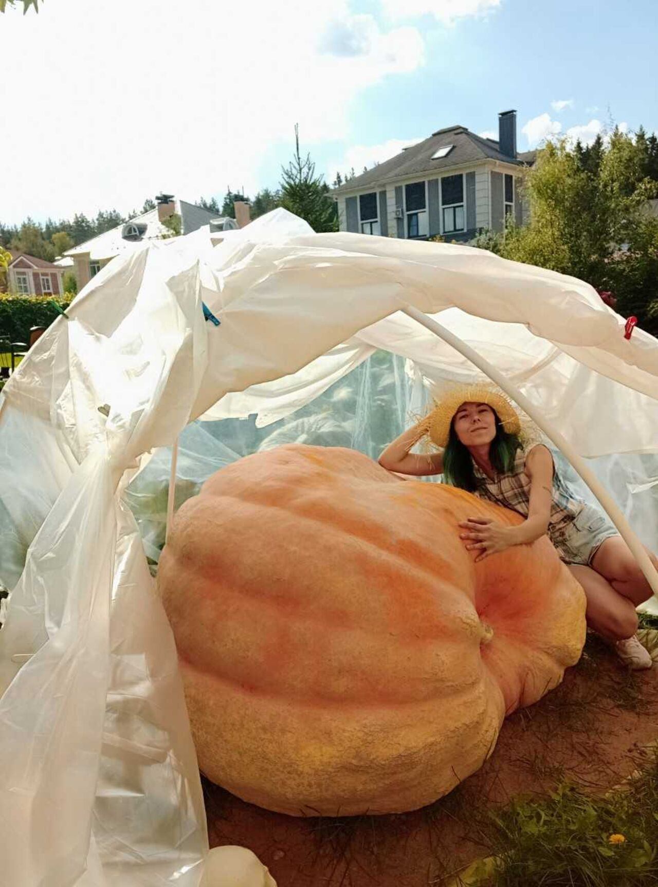 Агроспорт: удивительный мир овощей-гигантов