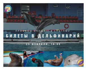 Билеты в Дельфинарий