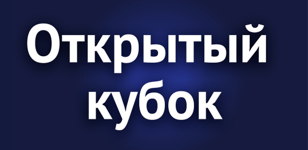 Открытый кубок КВН СПбПУ