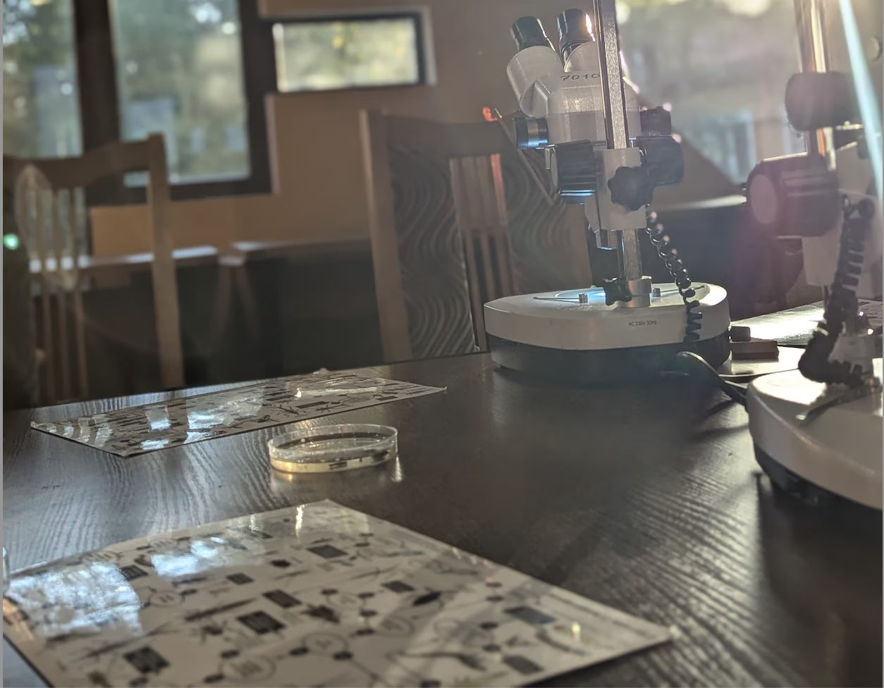 По воскресеньям в 14:10 Курс "ЛАБОРАТОРНЫЕ РАБОТЫ ПО БИОЛОГИИ для 4-5 классов" с биологом Полиной Гончаровой. 9+