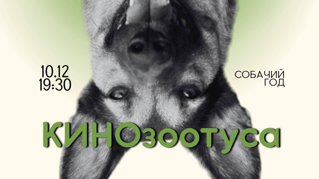 КИНОзоотуса