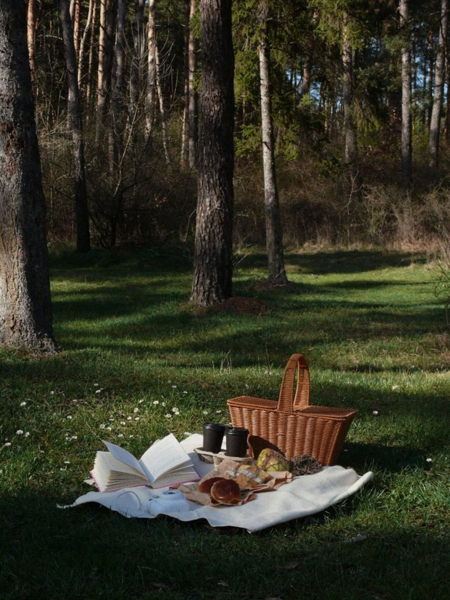 Книжный пикник