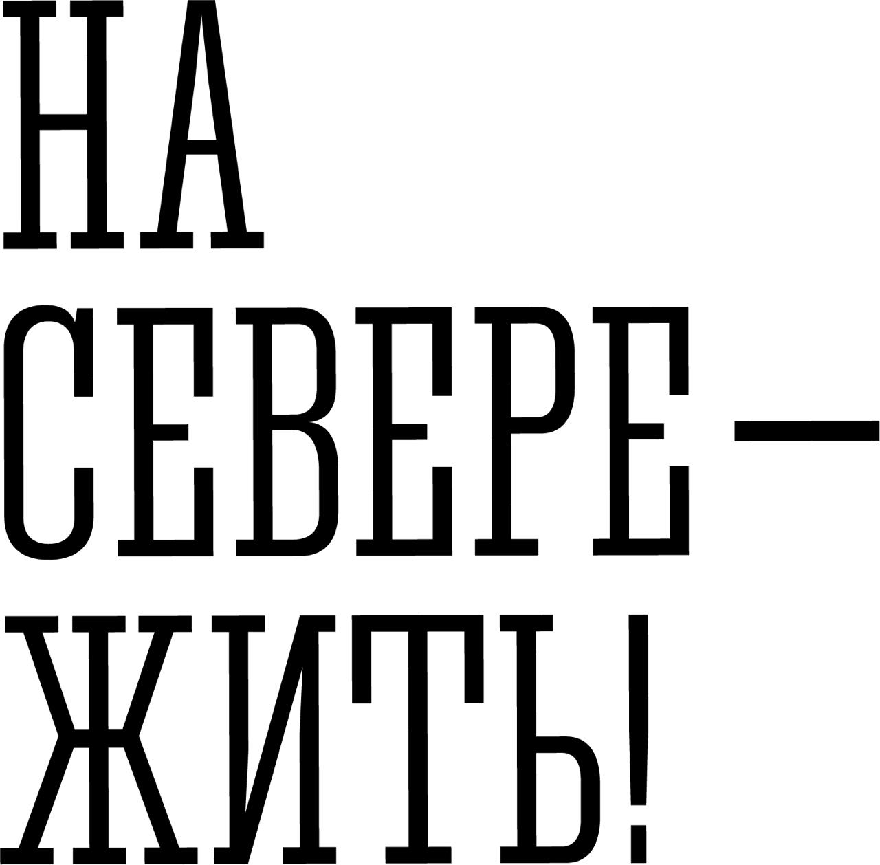Стратегия "На Севере - жить!"