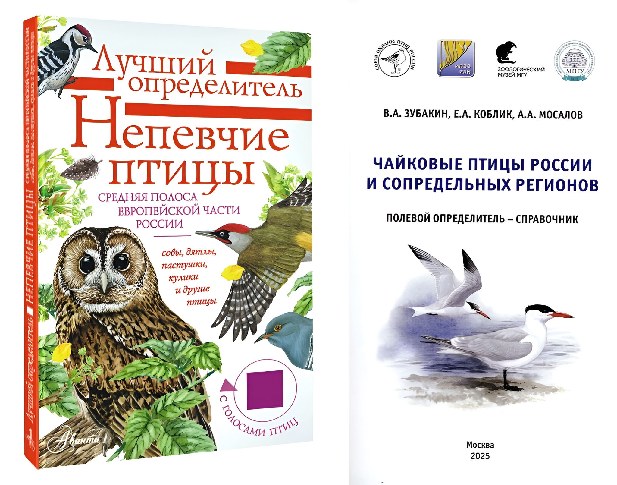 Лекция "Новые определители птиц Евгения Коблика с соавторами"