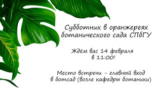 Субботник в Ботаническом саду СПбГУ