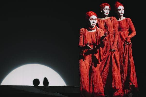 Спектакль-эпатаж "Монологи В"