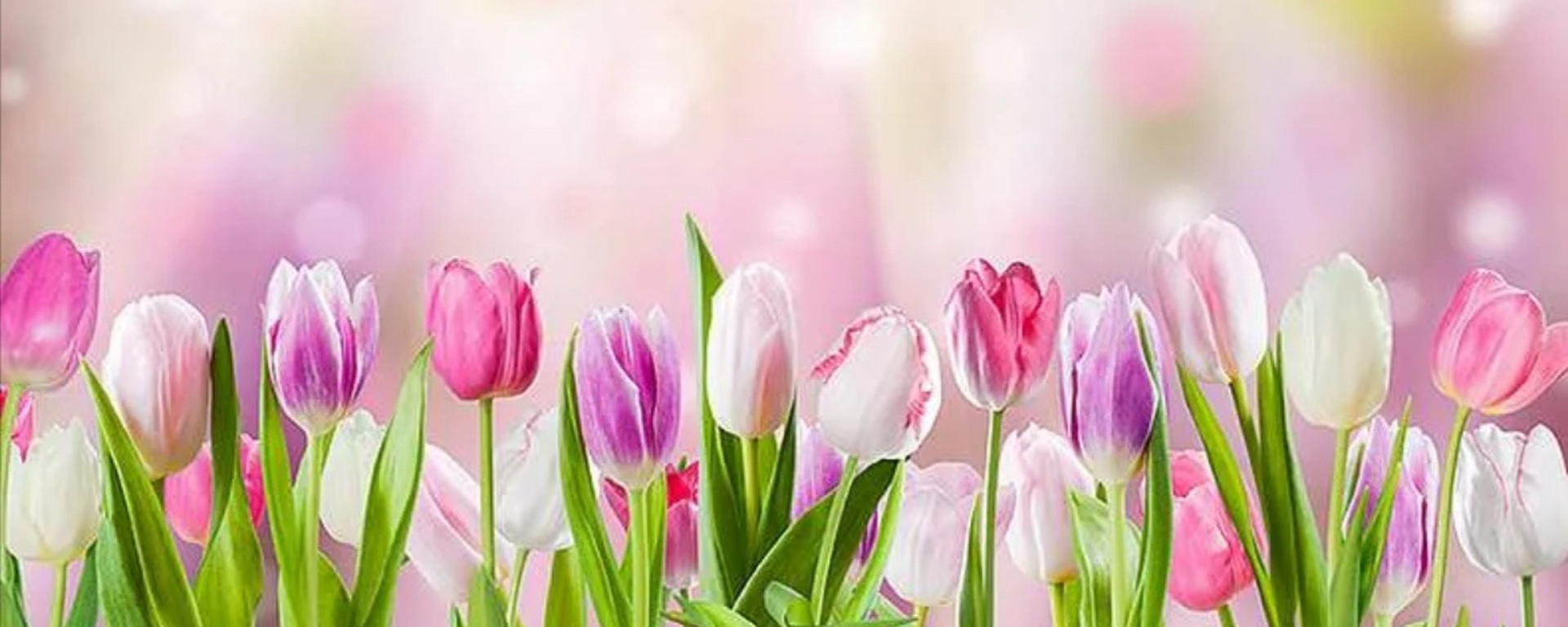 Притяжение счастья