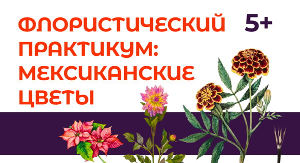 Флористический практикум: мексиканские цветы в галерее Традарт