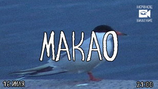 МАКАО / НОЧНОЕ ВИДЕНИЕ