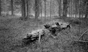 «Разговоры об искусстве. Не отменить» с Александрой Генераловой. Что важно знать о традициях современного искусства на «Русском Севере»