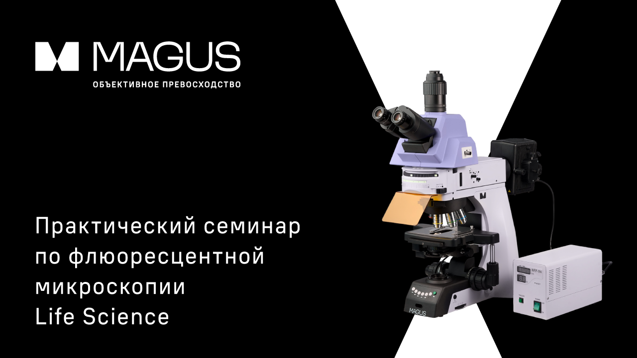 Практический семинар по флюоресцентной микроскопии Life Science в Институте фундаментальной медицины и биологии КФУ
