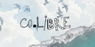 Co.Libre или Компания Свободных