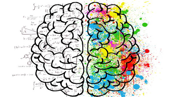 Лекция «Мозг: обучение и память»