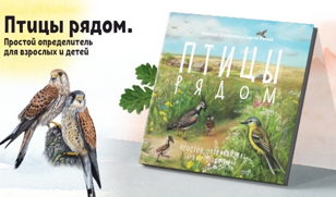 Презентация книги «Птицы рядом. Простой определитель для взрослых и детей»