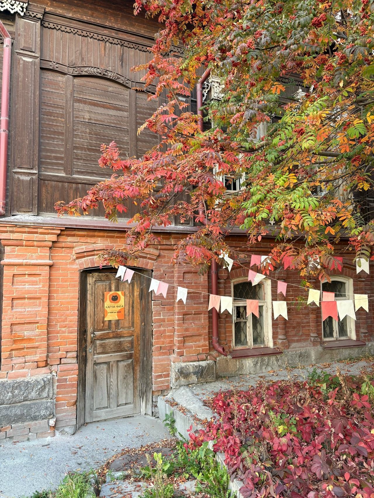 Тайна волка: книжный клуб Маленького Бука для детей 7-11 лет