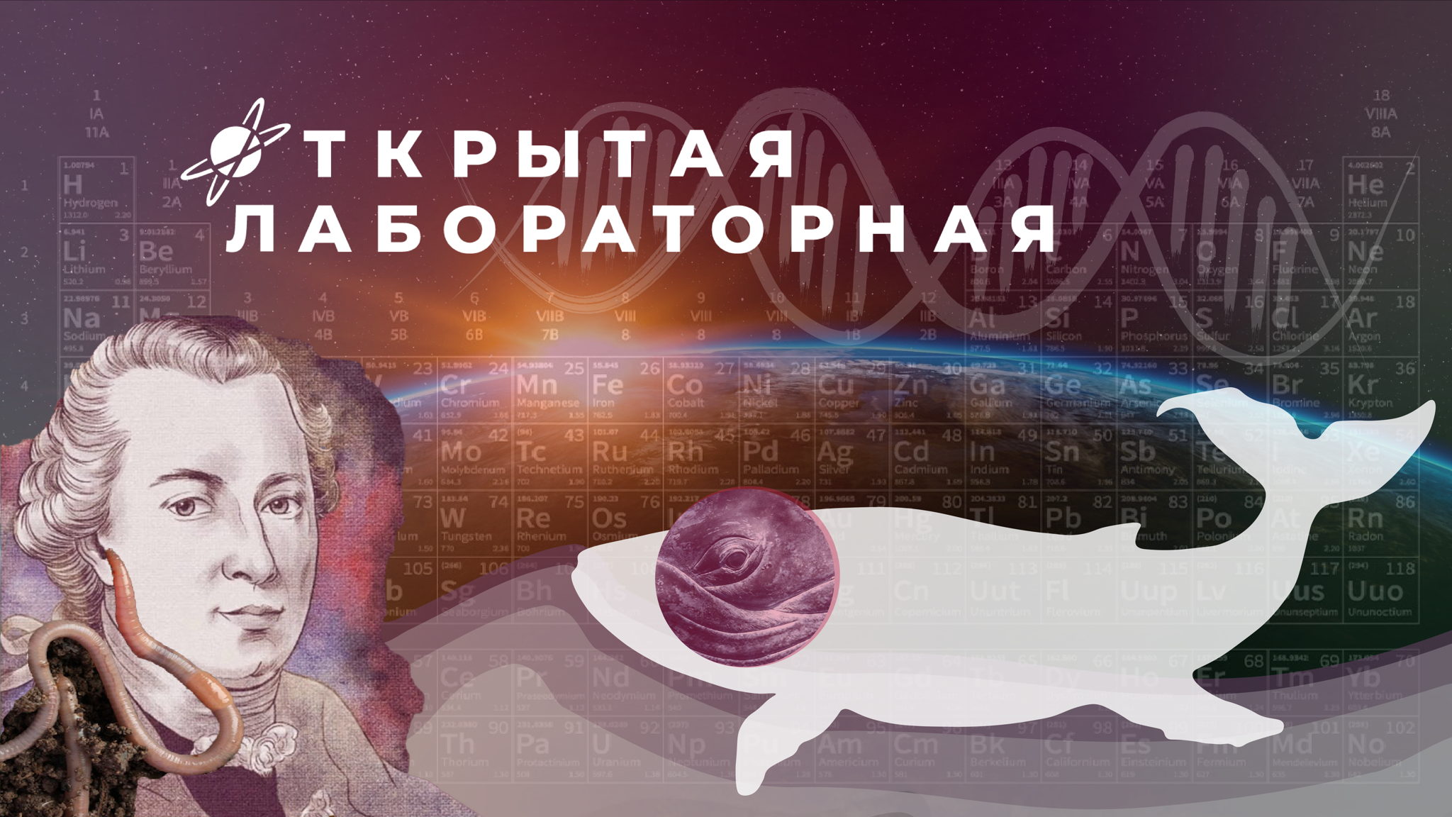 Открытая лабораторная в Библиотеке им. К. Паустовского