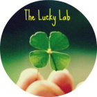 The Lucky Lab